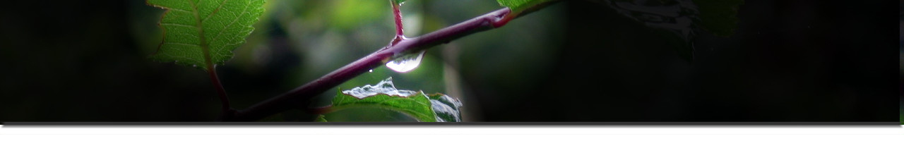 Humidity sensing and control